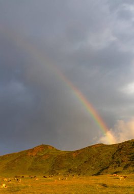 Dolomites, İtalya 'da Passo Giau yakınlarındaki manzara