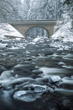 Zemska Brana 'daki Divoka Orlice Nehri, Orlicke Dağları, Doğu Bohemya, Çek Cumhuriyeti