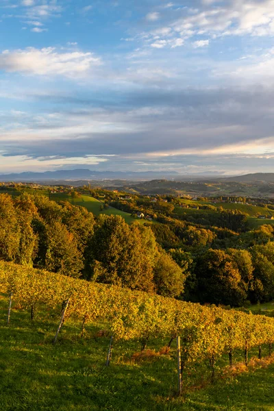 Highest Vineyards Austria Village Kitzeck Sausal Styria Austria — Stock Photo, Image