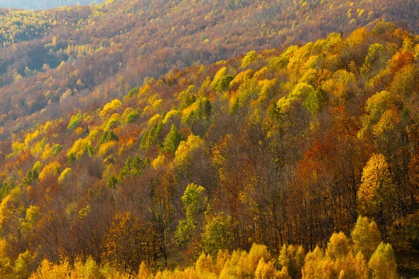 Slovensky Raj Nemzeti Park Szlovákiában — Stock Fotó