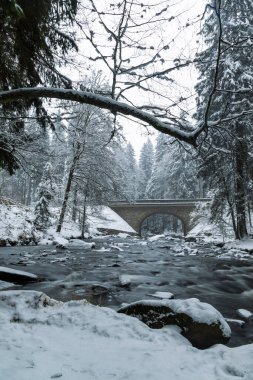 Zemska Brana 'daki Divoka Orlice Nehri, Orlicke Dağları, Doğu Bohemya, Çek Cumhuriyeti