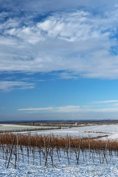 Popice Güney Moravya Çek Cumhuriyeti Yakınlarındaki Kış Manzarası — Stok fotoğraf