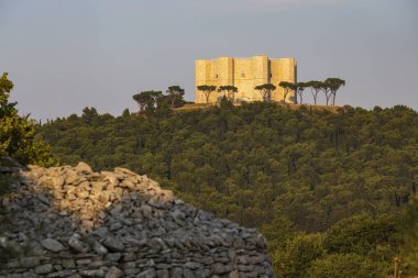 Castel del Monte, kale Kutsal Roma İmparatoru 2. Frederick tarafından 13. yüzyılda İtalya 'nın Apulia bölgesinde sekizgen şeklinde inşa edilmiştir.