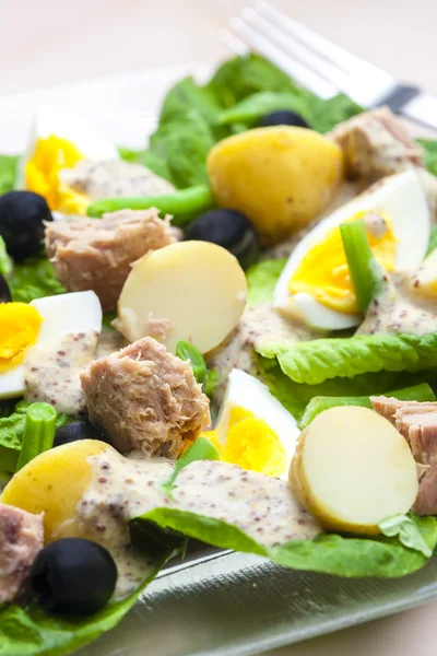 Nicoise salad — Stock Photo, Image