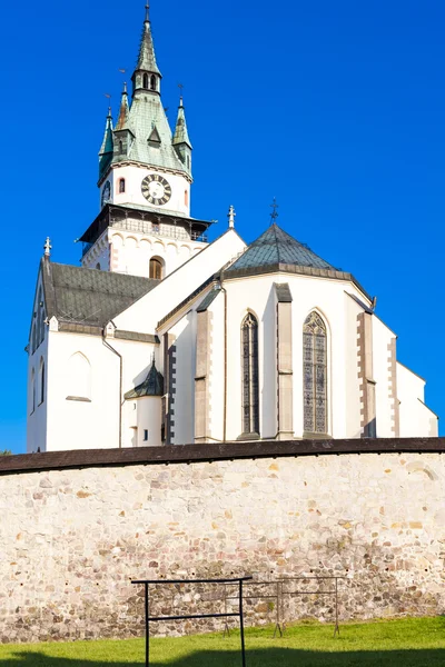 Церковь Святой Екатерины, Кремница, Словакия — стоковое фото