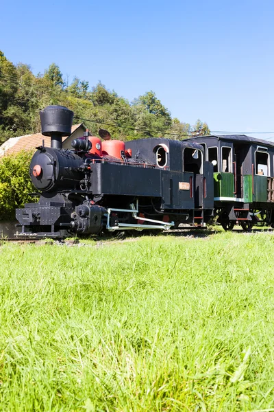 Locomotiva a vapor, Viglas, Eslováquia — Fotografia de Stock