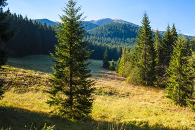Nizke Tatry (Low Tatras), Slovakya