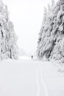 Kış manzarası, orlicke moutnains, Çek Cumhuriyeti