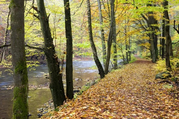 Peklo-Tal im Herbst, Tschechische Republik — Stockfoto