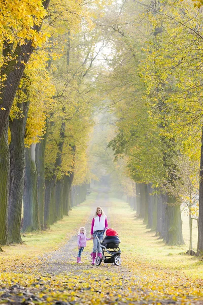 Mère et sa fille avec un landau en promenade dans la ruelle automnale — Photo