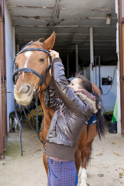 Ecuestre con su caballo — Foto de Stock