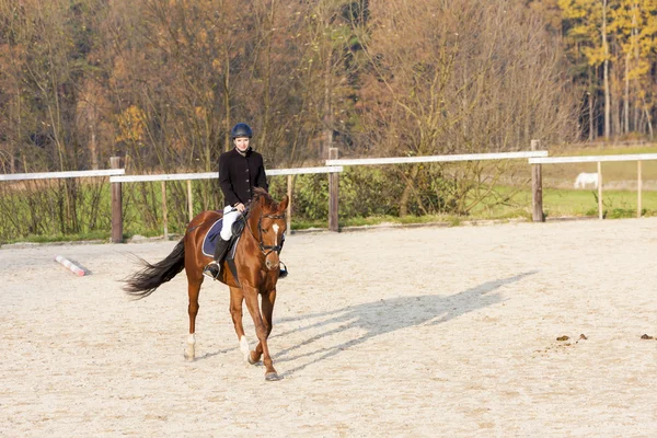 Ridsport på hästryggen — Stockfoto