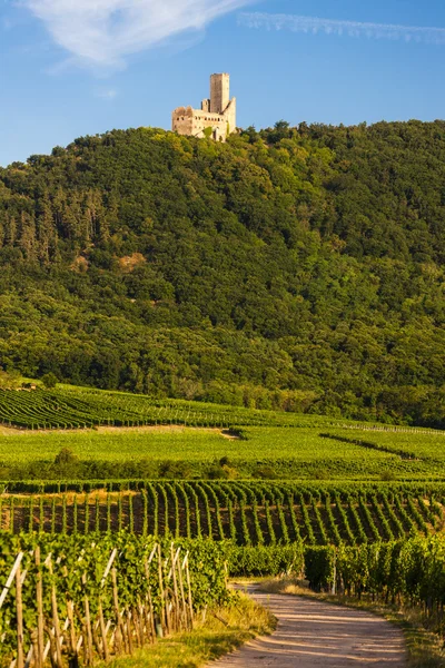Castle Ortenbourg, Alsace, Frankrig - Stock-foto