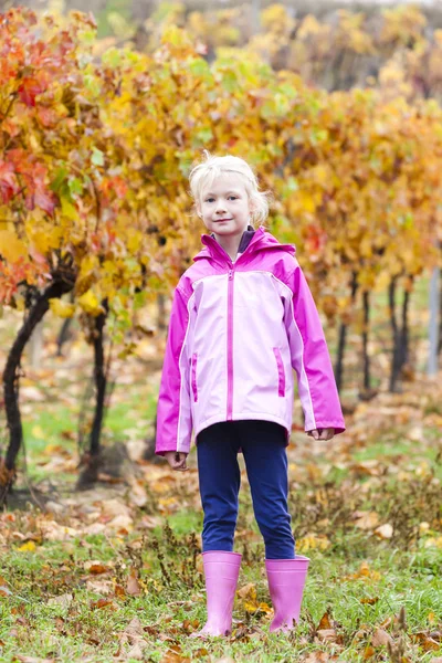 Little girl wearing rubber boots in autumnal vineyard — Stock Photo, Image