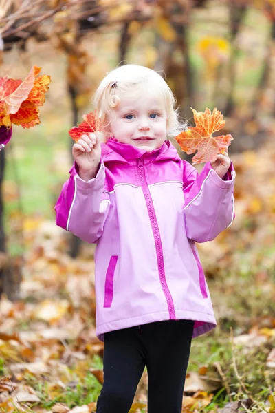 Klein meisje in herfst wijngaard — Stockfoto