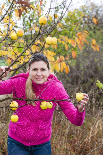 Woman with autumnal apple tree — Stock Photo, Image