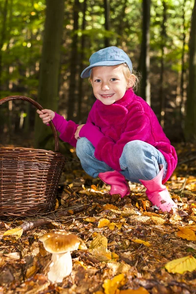 Mushroom picking little girl in forest — Stock Photo, Image