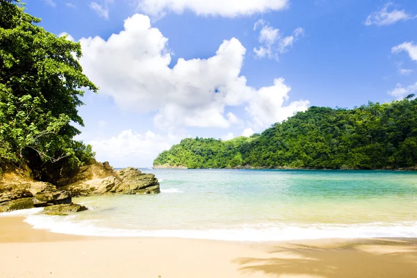 Englishman's Bay, Tobago — Stock Photo, Image