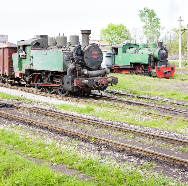 Stoom locomotieven, kolubara, Servië — Stockfoto
