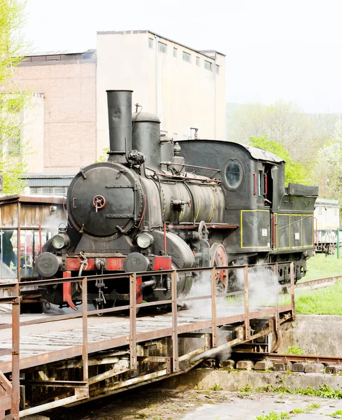 Ånga lokomotiv (126.014), resavica, Serbien — Stockfoto