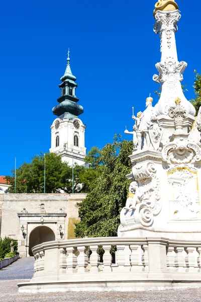 Dżuma kolumna i zamek w Nitrze, Słowacja — Zdjęcie stockowe