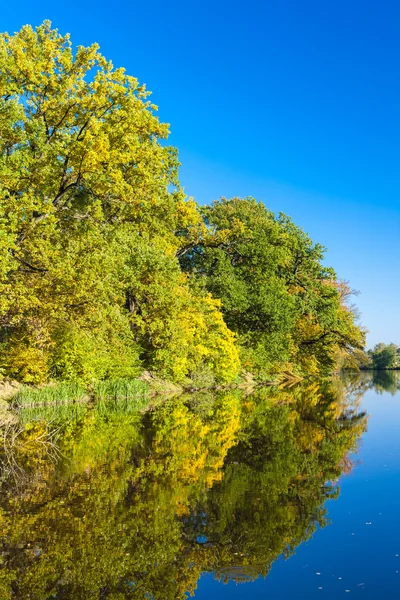 Ohre річка в осінь — стокове фото
