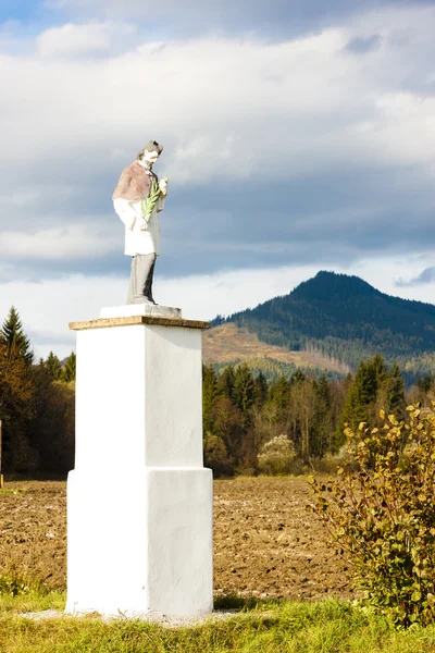 Pyhimyksen patsas, Slovakia — kuvapankkivalokuva