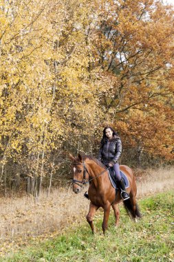 sonbahar doğa sırtında binicilik