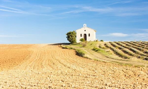 Kapel met Lavendel veld, provence — Stockfoto