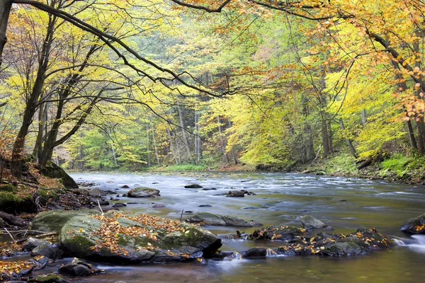 Río Metuje en otoño — Foto de Stock