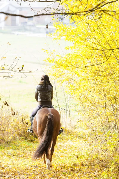 Equestre a cavalo na natureza outonal — Fotografia de Stock