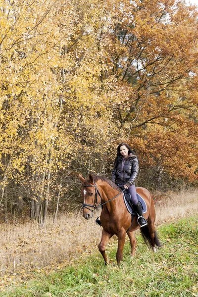 가 자연에서 말을 타고 승마 — 스톡 사진