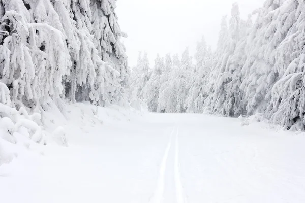 冬の風景、チェコ共和国 — ストック写真