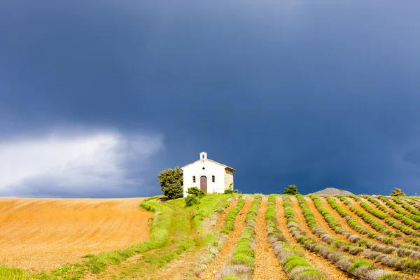 Chapel with lavender field — Stock Photo, Image