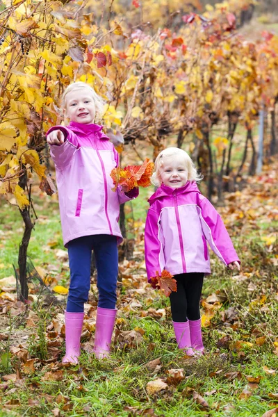 Little girls in autumnal vineyard — Stock Photo, Image