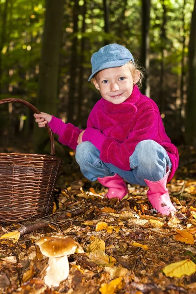 Mushroom picking little girl in forest — Stock Photo, Image