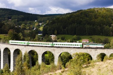 yolcu tren Viyadüğü üzerinde Novina, Krystofovo Vadisi, Çek Cumhuriyeti