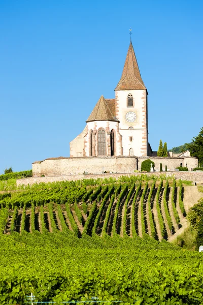 Kirche mit Weinberg, Hunawihr, Elsass, Frankreich — Stockfoto