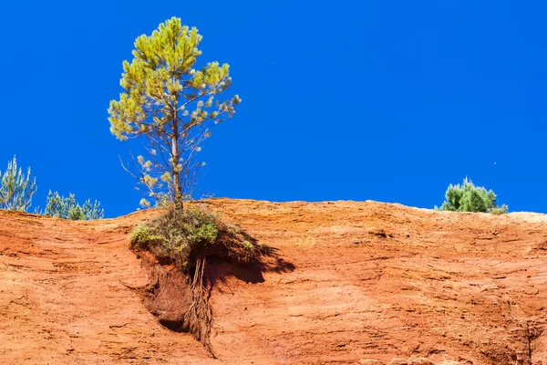 Colorado Provencal — Stock Photo, Image