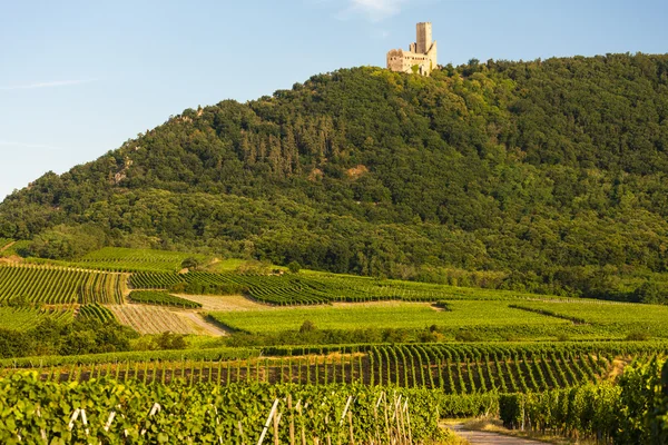 Château Ortenbourg, Alsace, France — Photo