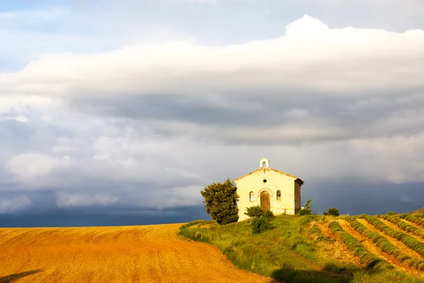 Chapel in lavender field — Stock Photo, Image