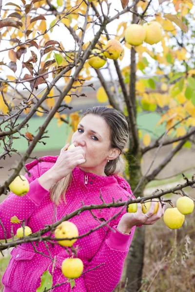 Kvinna äter ett äpple — Stockfoto