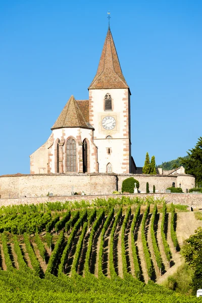法国阿尔萨斯Hunawihr有葡萄园的教堂 — 图库照片