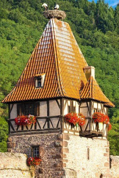 Chatenois, Alsace, France — Photo