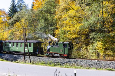 Buharlı tren, Steinbach - Johstadt