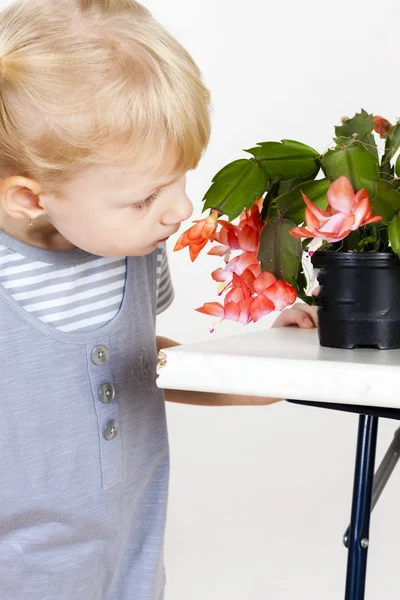 Portrait of little with Christmas cactus — Stock Photo, Image