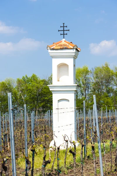 Tortura de Deus com vinha perto de Palava, República Checa — Fotografia de Stock