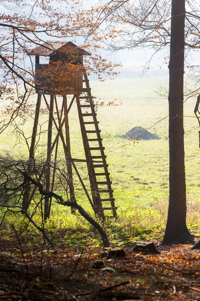 High seat view — Stock Photo, Image