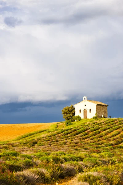 Kapell med lavendel fält, platå de valensole, provence, fran — Stockfoto