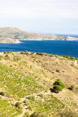 Cote Vermeille ve Cap ayı deniz feneri, Languedoc-Ro bağında